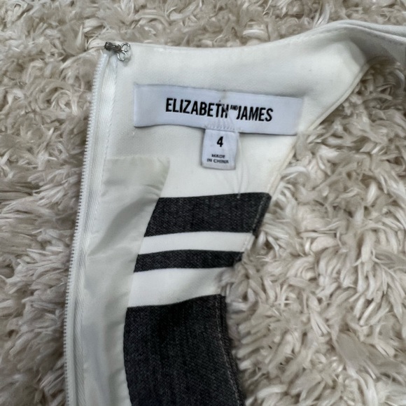NWOT Elizabeth And James Magdalena Stripe Dress - Picture 5 of 8